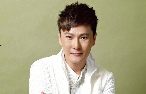 60岁男明星,探寻60岁男明星的优雅人生轨迹