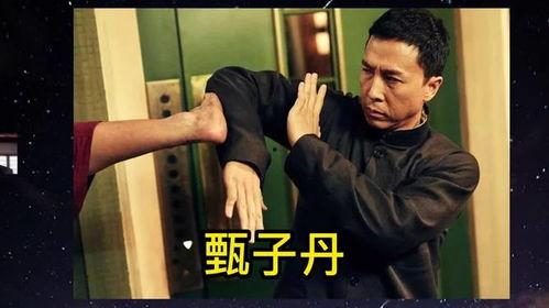 有真功夫的明星,揭秘有真功夫的明星传奇