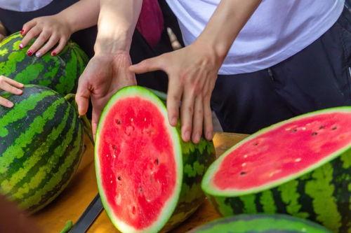 子安吃瓜,揭秘娱乐圈幕后故事