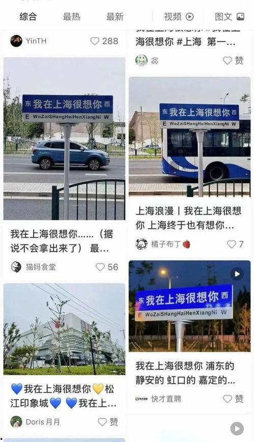 自制网红指示牌,打造个性街头风潮的创意指南