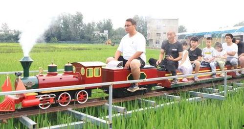 稻草棚网红打卡,网红打卡新地标，田园风光中的诗意栖息