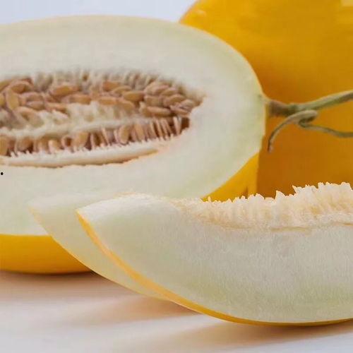 为何吃蜜瓜喉咙过敏,探究过敏源与防护之道