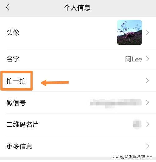 头条的头像特效是什么,揭秘头像特效背后的魅力