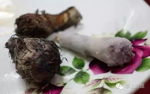 水煮芋头条,探寻传统美食的独特魅力