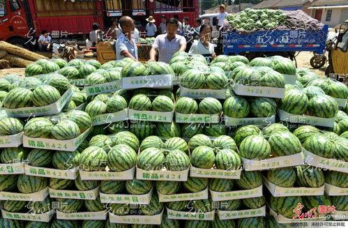 夏邑吃瓜新闻报道最新,揭秘当地特色美食背后的故事